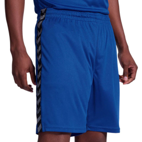 HUMMEL Шорцеви HMLAUTHENTIC PL SHORTS ЗА МАЖИ